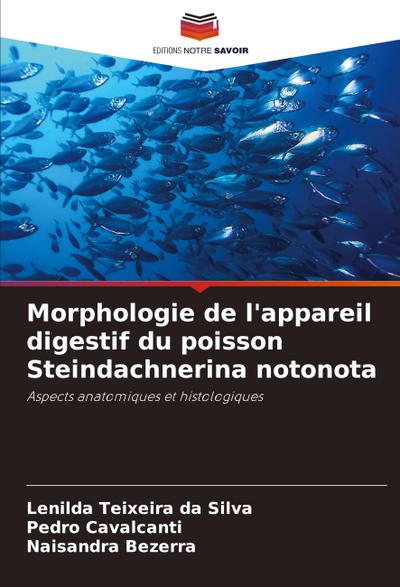 Morphologie de l’appareil digestif du poisson Steindachnerina notonota