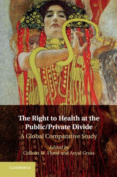 Right to Health at the Public/Private Divide