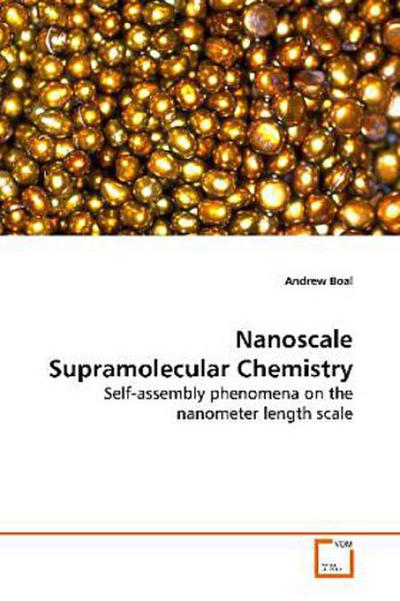 Nanoscale Supramolecular Chemistry