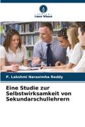 Eine Studie zur Selbstwirksamkeit von Sekundarschu