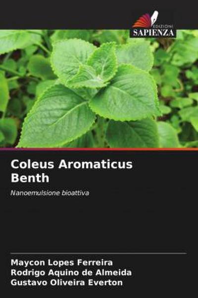 Coleus Aromaticus Benth