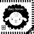 Baby Animals