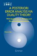 A Posteriori Error Analysis Via Duality Theory