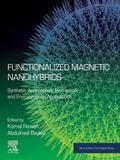 Functionalized Magnetic Nanohybrids