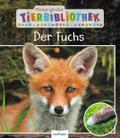 Der Fuchs von Christian Havard | Buch