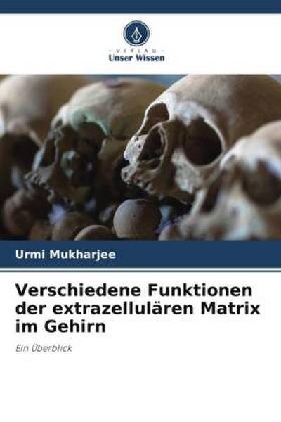 Verschiedene Funktionen der extrazellulären Matrix im Gehirn