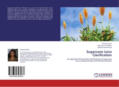 Sugarcane Juice Clarification