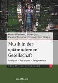 Musik in der spätmodernen Gesellschaft