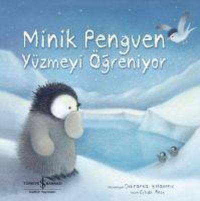 Minik Penguen Yüzmeyi Ögreniyor