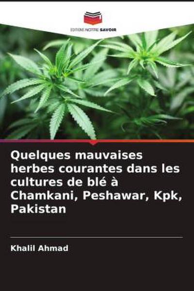 Quelques mauvaises herbes courantes dans les cultures de blé à Chamkani, Peshawar, Kpk, Pakistan