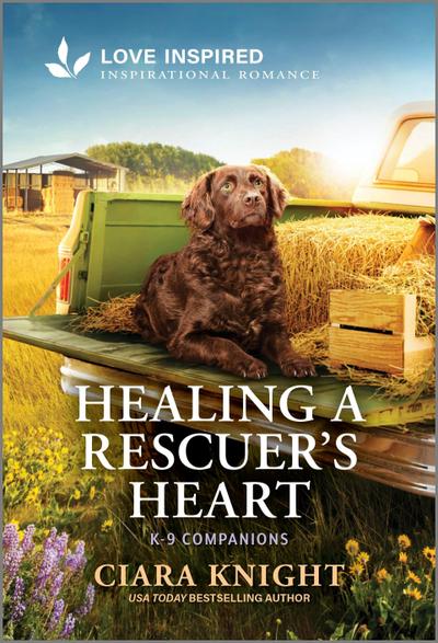 Healing a Rescuer’s Heart