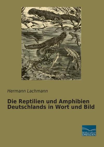 Die Reptilien und Amphibien Deutschlands in Wort und Bild