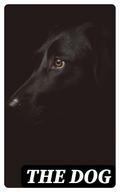 The Dog
