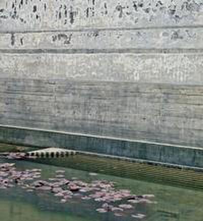 Klaus Kinold - Architekturphotographien/Architectural Photographs