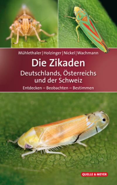 Die Zikaden Deutschlands, Österreichs und der Schweiz