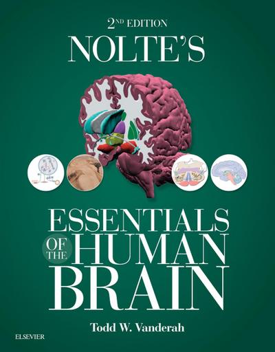 Nolte’s Essentials of the Human Brain E-Book