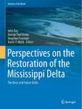 Perspectives on the Restoration of the Mississippi Delta