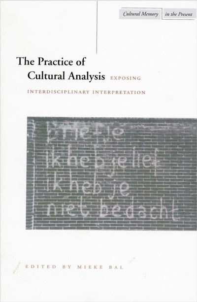 The Practice of Cultural Analysis