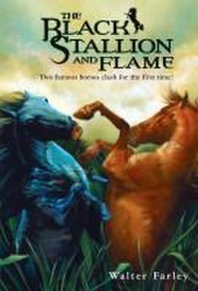 The Black Stallion and Flame