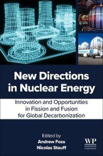 New Directions in Nuclear Energy
