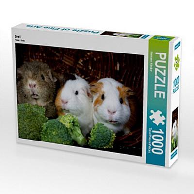 CALVENDO Puzzle Drei | 1000 Teile Lege-Größe 64x48cm Foto-Puzzle für glückliche Stunden