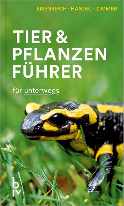Zimmer, U: Tier- & Pflanzenführer