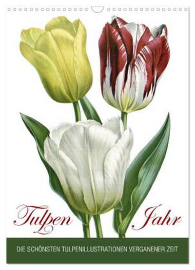 Tulpen - Jahr (Wandkalender 2026 DIN A3 hoch), CALVENDO Monatskalender