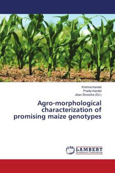 Agro-morphological characterization of promising maize genotypes