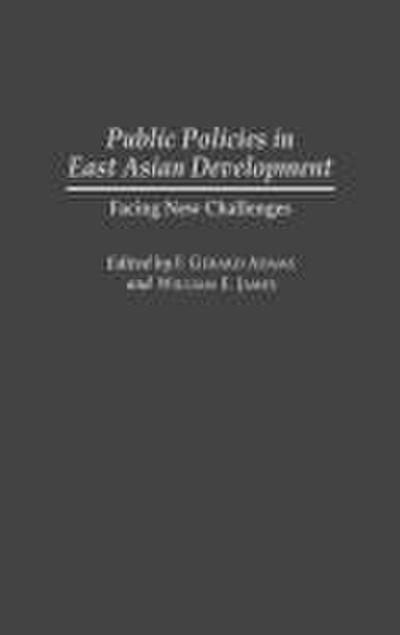 Public Policies in East Asian Development