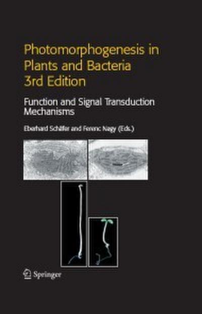 Photomorphogenesis in Plants and Bacteria
