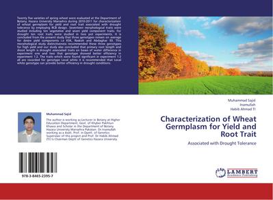 Characterization of Wheat Germplasm for Yield and Root Trait