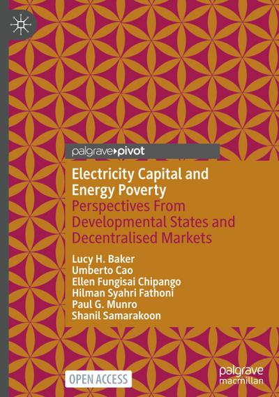 Electricity Capital and Energy Poverty