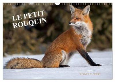 LE PETIT ROUQUIN (Calendrier mural 2026 DIN A3 vertical), CALVENDO calendrier mensuel