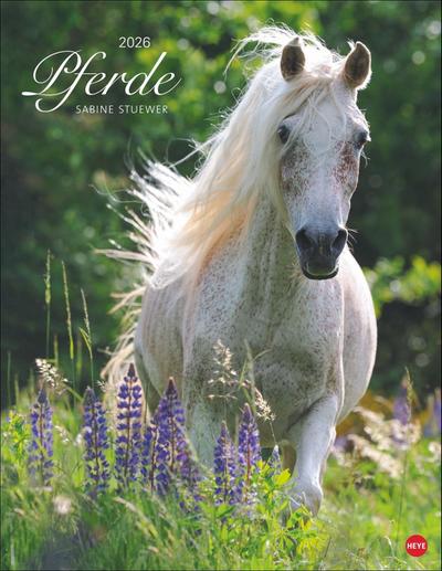 Pferde Classics Posterkalender 2026