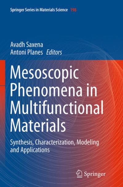 Mesoscopic Phenomena in Multifunctional Materials