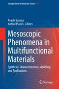 Mesoscopic Phenomena in Multifunctional Materials