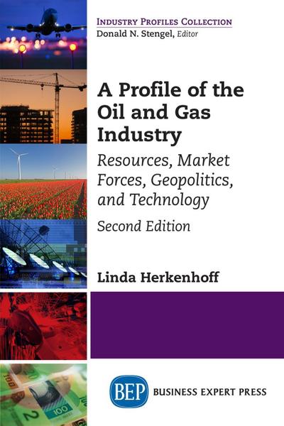 A Profile of the Oil and Gas Industry, Second Edition