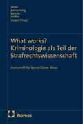 What works? Kriminologie als Teil der Strafrechtswissenschaft