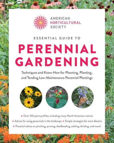 Essential Guide to Perennial Gardening
