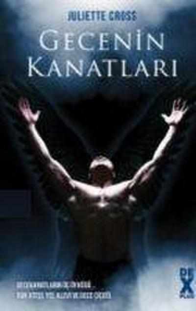 Gecenin Kanatlari