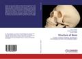 Structure of Bone