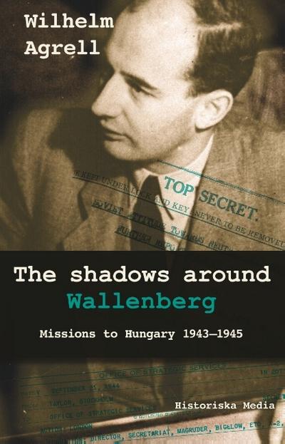 The shadows around Wallenberg
