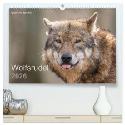 Wolfsrudel (hochwertiger Premium Wandkalender 2026 DIN A2 quer), Kunstdruck in Hochglanz