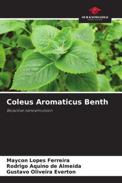 Coleus Aromaticus Benth