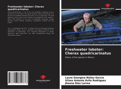 Freshwater lobster: Cherax quadricarinatus