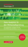 Data Analytics in der Wirtschaftsprüfung