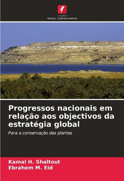 Progressos nacionais em relação aos objectivos da estratégia global