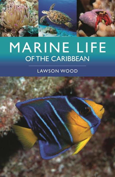 Marine Life of the Caribbean