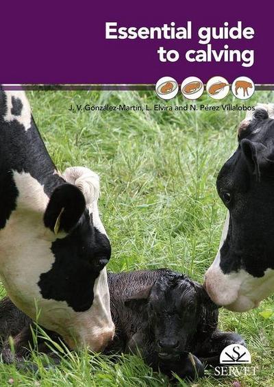 Essential Guide to Calving