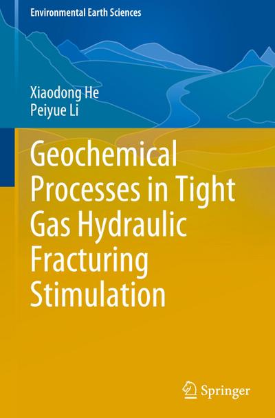 Geochemical Processes in Tight Gas Hydraulic Fracturing Stimulation